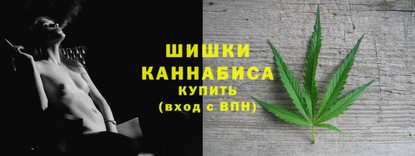 молекула духа Олёкминск