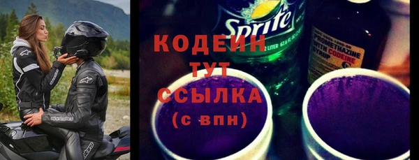 молекула духа Олёкминск